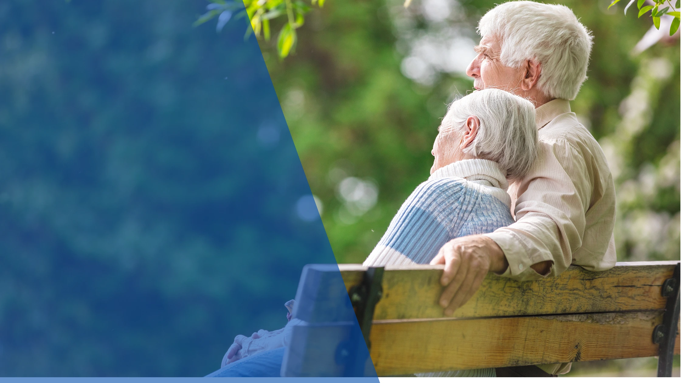 what is whole life insurance​